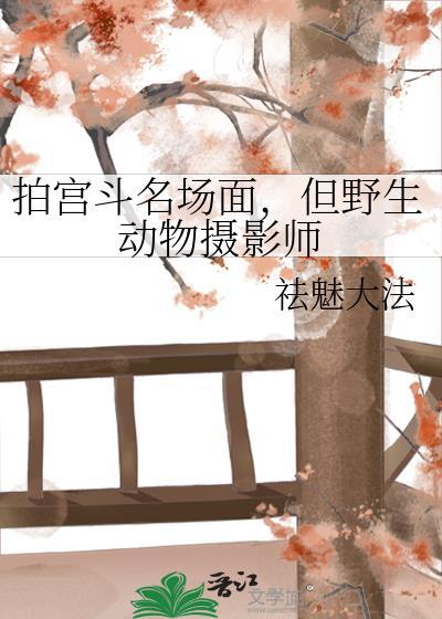 野生动物摄影师会被野兽攻击吗