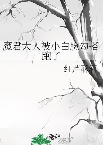 魔尊大人的小夫君免费阅读无弹窗