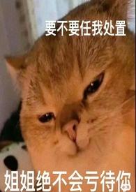 女哨男向是什么