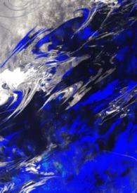 s级向导哨兵失控日日争宠免费