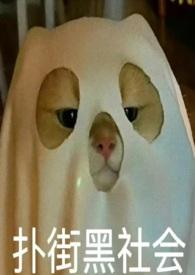 她只想赚钱九龙城寨类似文