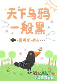 天下乌鸦一般黑最佳生肖