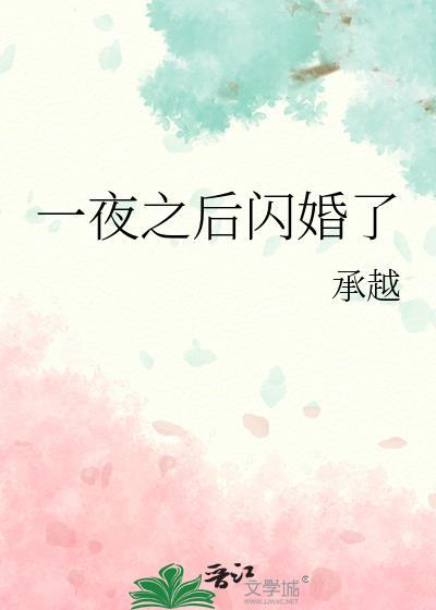 一夜之后闪婚了讲的是什么