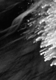 美国电影黑玛利亚