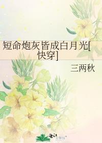 短命炮灰皆成白月光