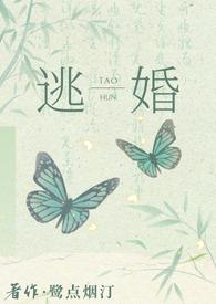 逃婚以后np