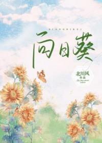 向日葵夜晚绽放第一季全集免费观看