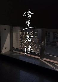 暗里着迷全文免费阅读txt