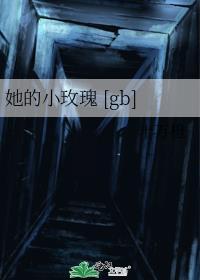 最佳搭档电视剧大全