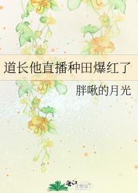 道长你在直播显圣国家坐不住了