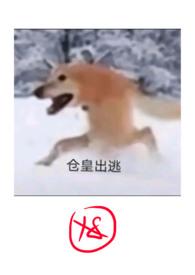 沦为废品