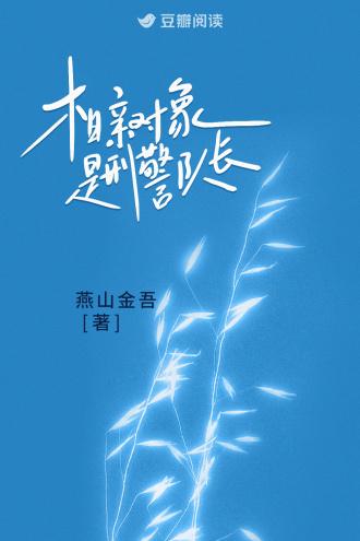 相亲对象是刑警队长电影