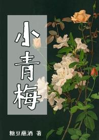 小青梅用系统转移我的智力免费阅读全文