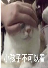 圈养蔷薇(纯百骨科np) 橘子灯灯