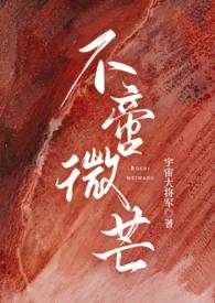 不啻微芒全集