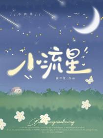 白金小流星