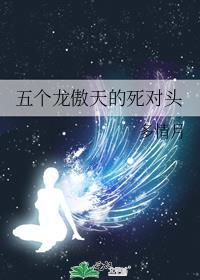 男主角叫龙傲天一堆女主