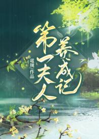 第一夫人长篇
