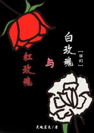 红玫瑰与白玫瑰免费观看