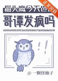 dc猫头鹰
