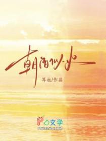 朝阳似火短剧结局