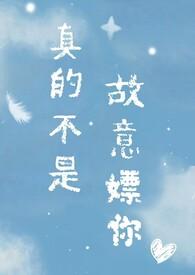 真的不是故意嫖你闪烁的星免费阅读