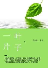 一片叶子的旅程晒票
