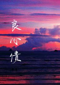 良心算什么