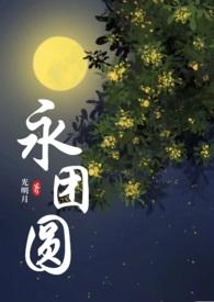 永团圆光明月txt
