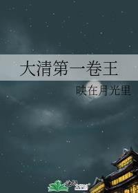 大清第一卷王 最新章节