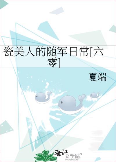 瓷美人价格