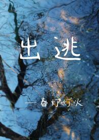 出逃的简介
