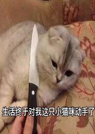 旧爱新欢含贬义吗