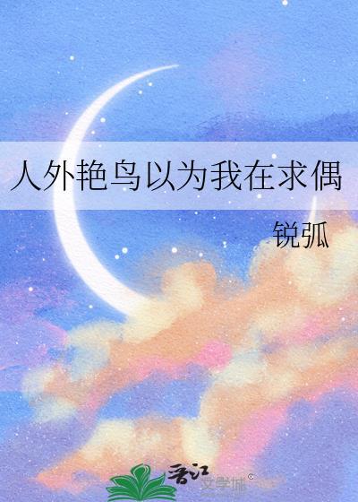 青山掩苗寨讲的是什么