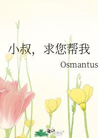 小叔叔求放过免费阅读