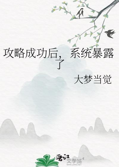 攻略成功后系统暴露了在哪看