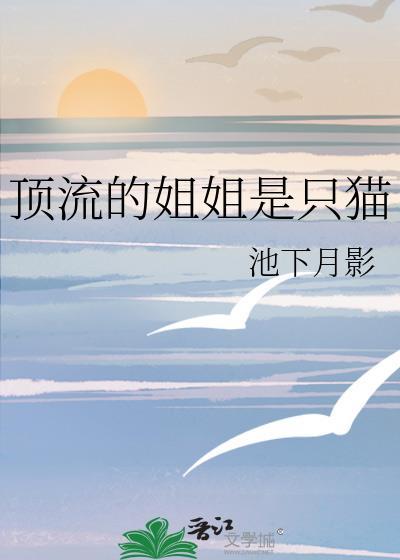 顶流姐姐在综艺玄学爆红了
