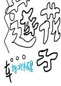 莲花莲子最经典十句