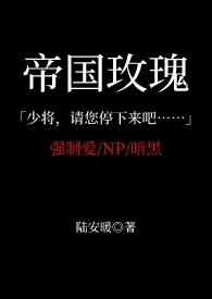 帝国玫瑰成战斗机