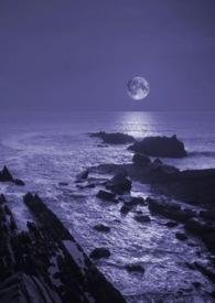 暗夜潮涌by山花对酒百度