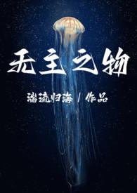 无主之物的雅称
