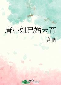 唐小姐已婚未育免费阅读百度网