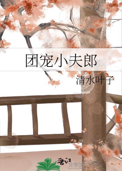 团宠小夫郎by清水叶子TXT