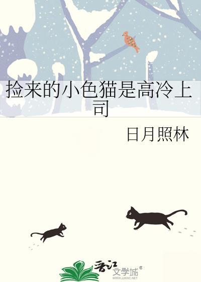 捡了高冷小猫国师后by沈云微免费阅读