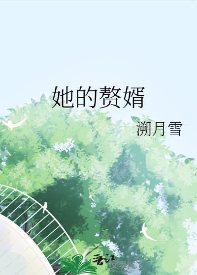 赘婿人物介绍女主