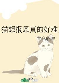 娱乐圈失控晋江