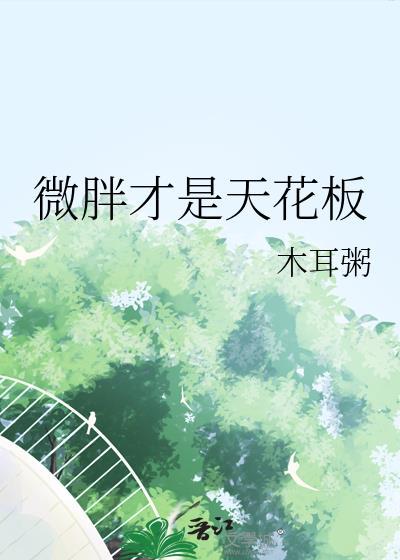 微胖界的天花板什么意思