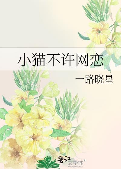 猫不猫网号