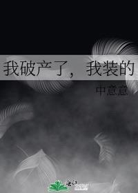 我破产了我装的txt