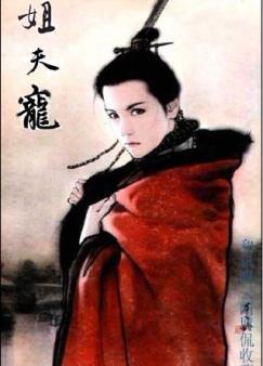 姐夫宠我在线